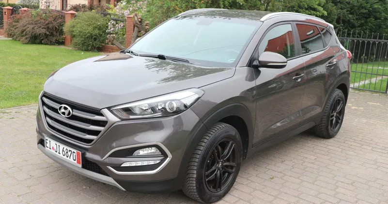 Hyundai Tucson cena 66900 przebieg: 96000, rok produkcji 2017 z Oleśnica małe 92